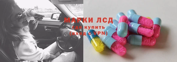 ECSTASY Алзамай