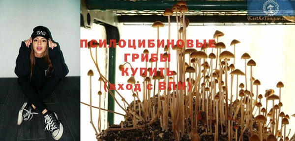 мет Алексеевка