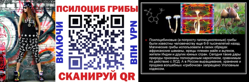 Псилоцибиновые грибы Psilocybe  купить  сайты  Сортавала 